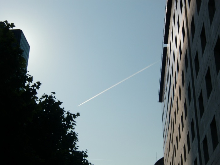 498.JPG